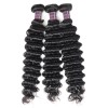 Jada Malaysian Deep Wave Human Hair Bundles with Lace Closure Extension
