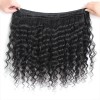 Jada Malaysian Deep Wave Human Hair Bundles with Lace Closure Extension